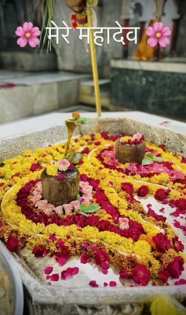 Sacred twin Shivlings adorned with marigold and rose flowers at Kailash Mahadev Temple