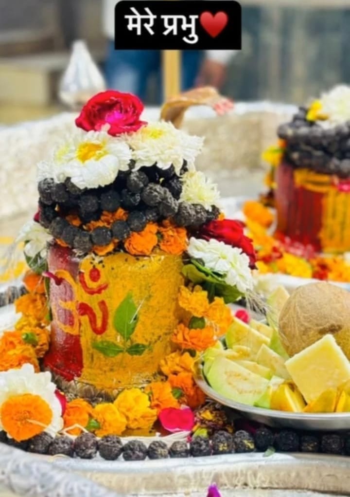 Sacred Shivling adorned with flowers and offerings at Kailash Mahadev Temple